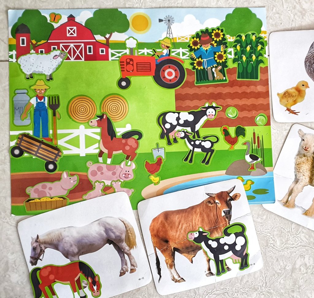 farm animal theme