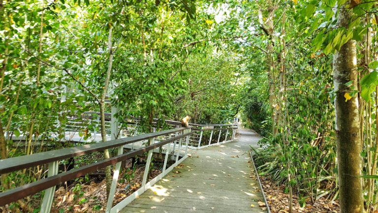 A Date with my boy in the Berlayer Creek, Labrador Park | My Chirpy Life